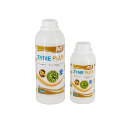 ZYME-PLUS