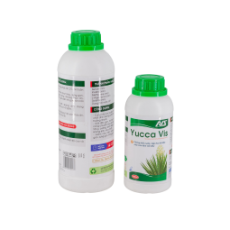 YUCCA VIS