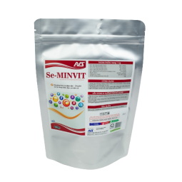 SE-MINVIT