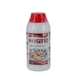 B12 PLUS