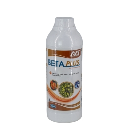 BETA PLUS