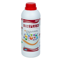B12 PLUS