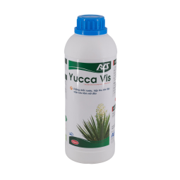 YUCCA VIS