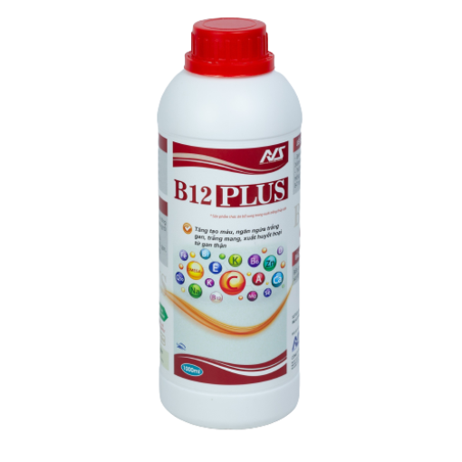 B12 PLUS