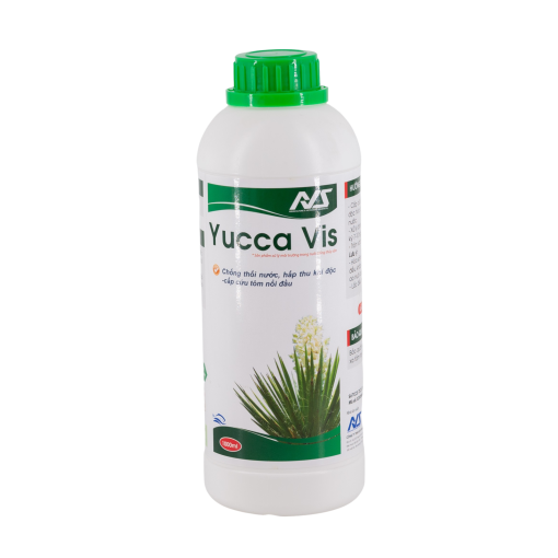 YUCCA VIS